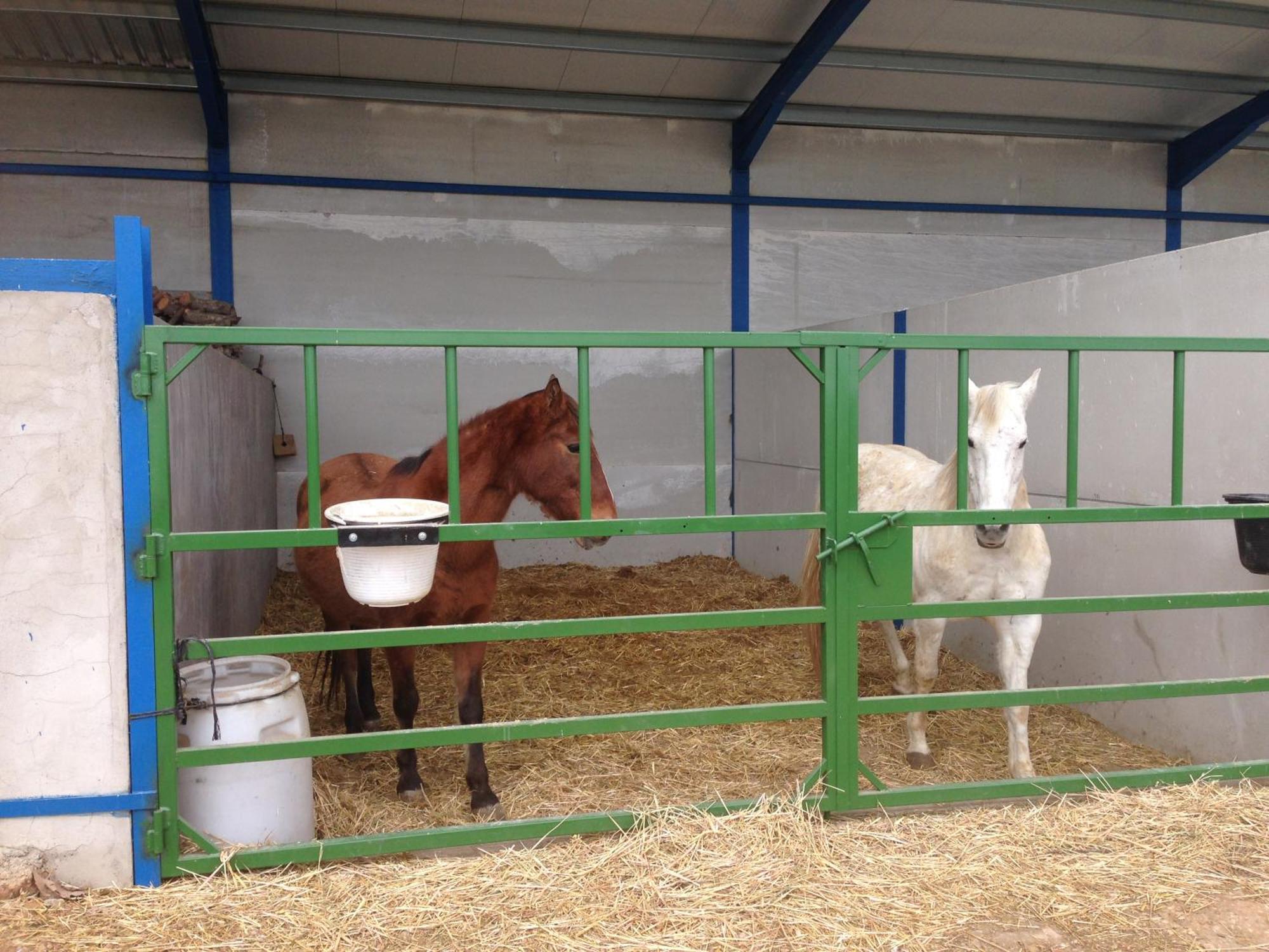 Rural Reillo Alojamientos Rurales Zewnętrze zdjęcie