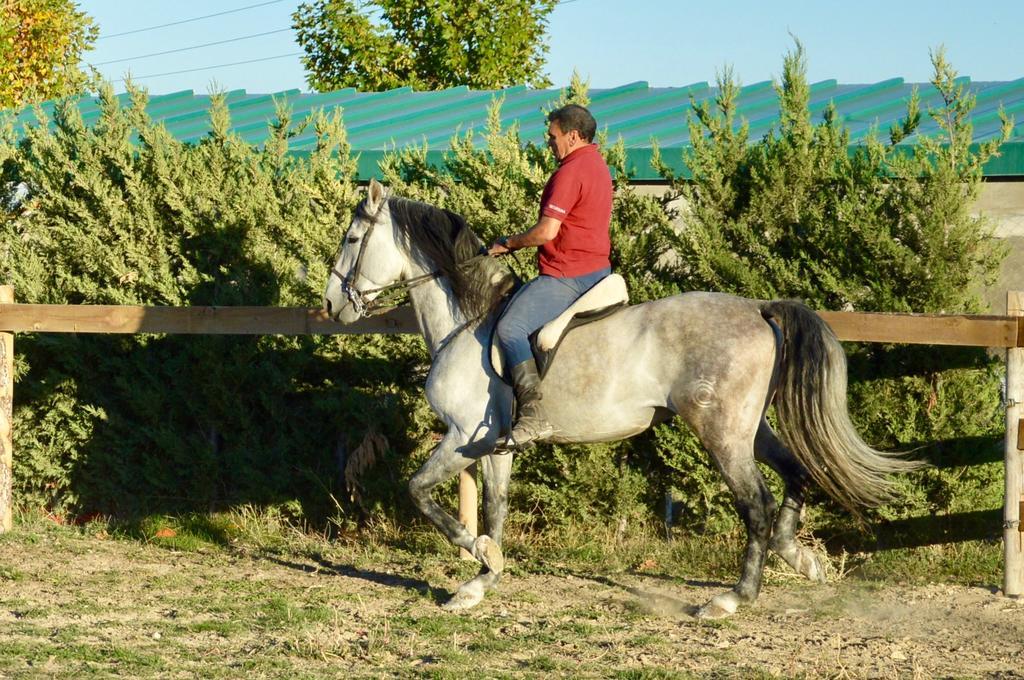 Rural Reillo Alojamientos Rurales Zewnętrze zdjęcie