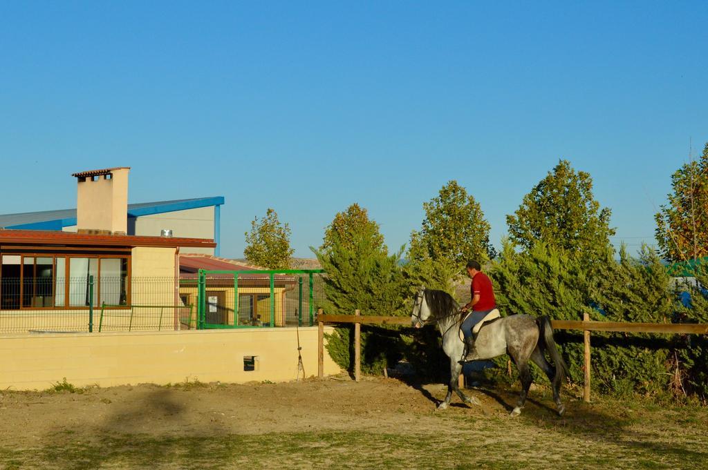 Rural Reillo Alojamientos Rurales Zewnętrze zdjęcie